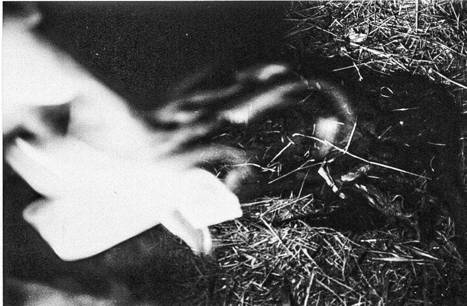 Intro ft. Laura Valverde